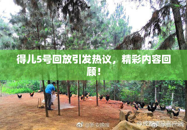 得儿5号回放引发热议，精彩内容回顾！