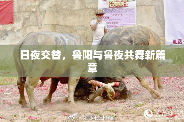 日夜交替，鲁阳与鲁夜共舞新篇章