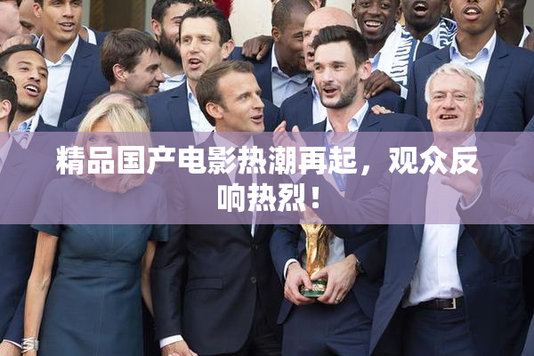 精品国产电影热潮再起，观众反响热烈！