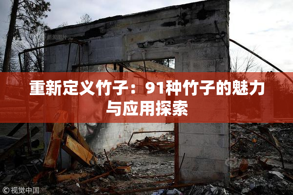 重新定义竹子：91种竹子的魅力与应用探索