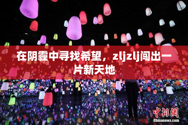 在阴霾中寻找希望，zljzlj闯出一片新天地