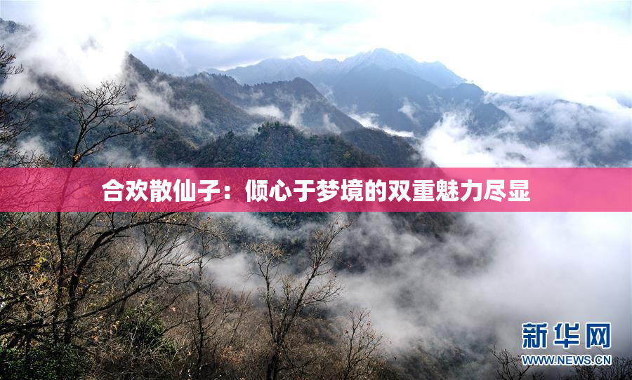 合欢散仙子：倾心于梦境的双重魅力尽显