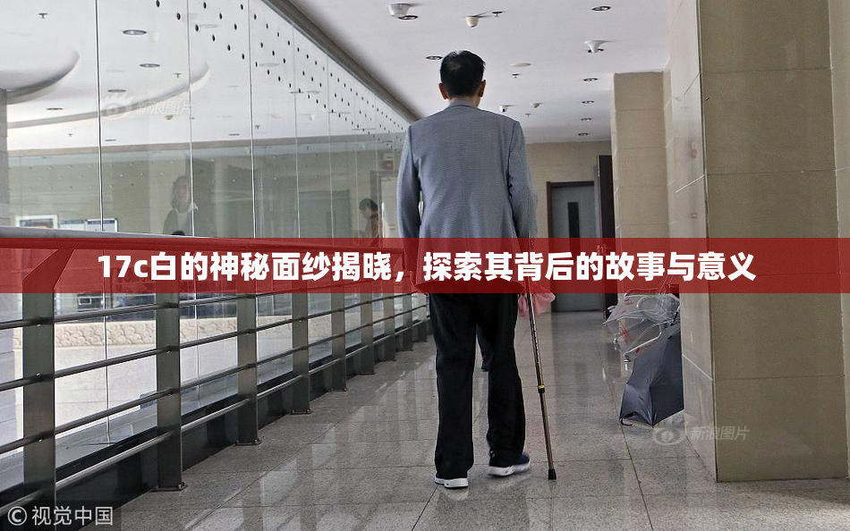 17c白的神秘面纱揭晓，探索其背后的故事与意义