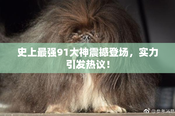 史上最强91大神震撼登场，实力引发热议！