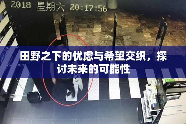田野之下的忧虑与希望交织，探讨未来的可能性