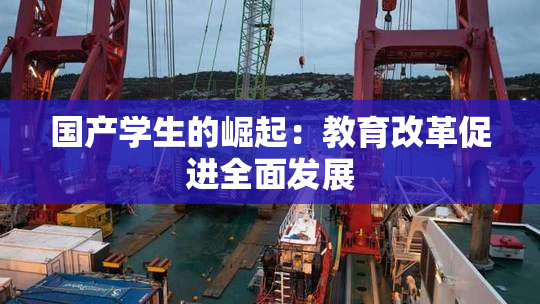国产学生的崛起：教育改革促进全面发展