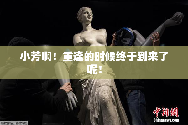 小芳啊！重逢的时候终于到来了呢！