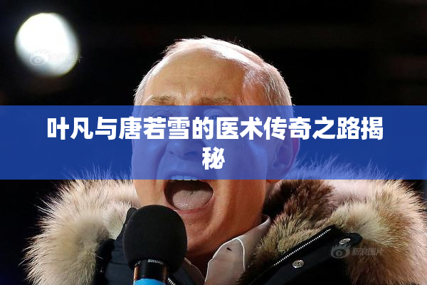 叶凡与唐若雪的医术传奇之路揭秘