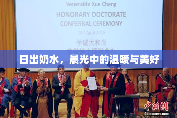 日出奶水，晨光中的温暖与美好