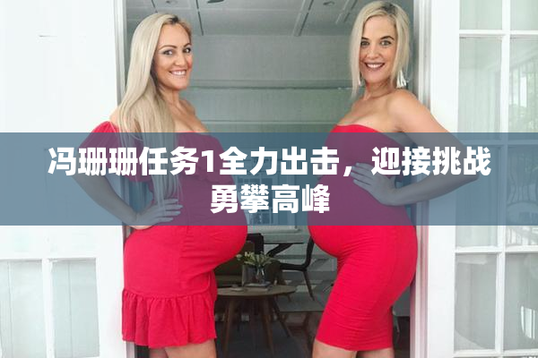 冯珊珊任务1全力出击，迎接挑战勇攀高峰