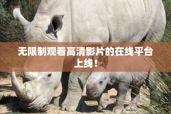 无限制观看高清影片的在线平台上线！