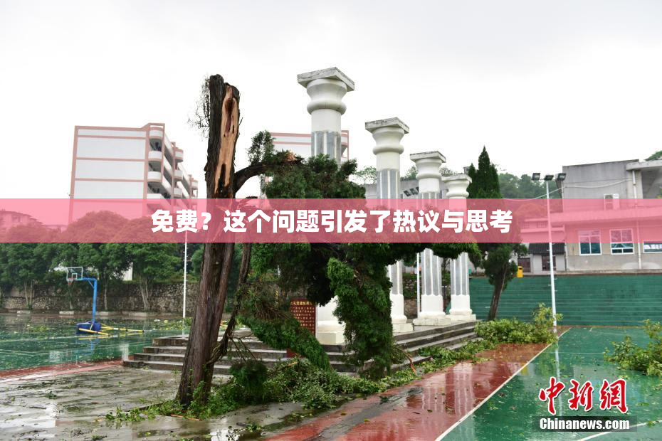 免费？这个问题引发了热议与思考