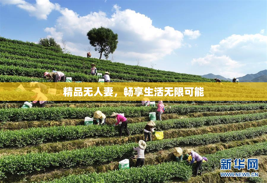 精品无人妻，畅享生活无限可能