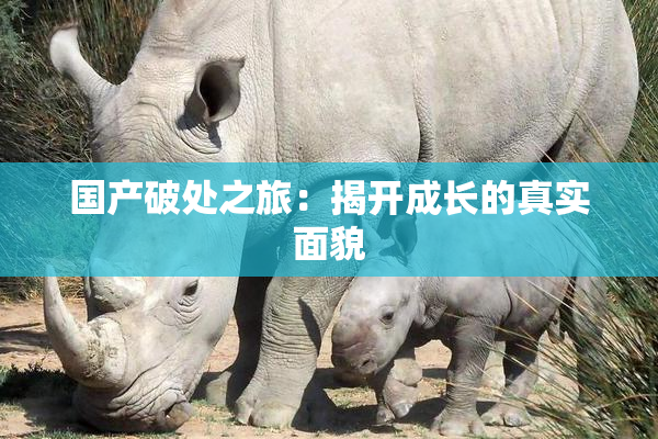 国产破处之旅：揭开成长的真实面貌