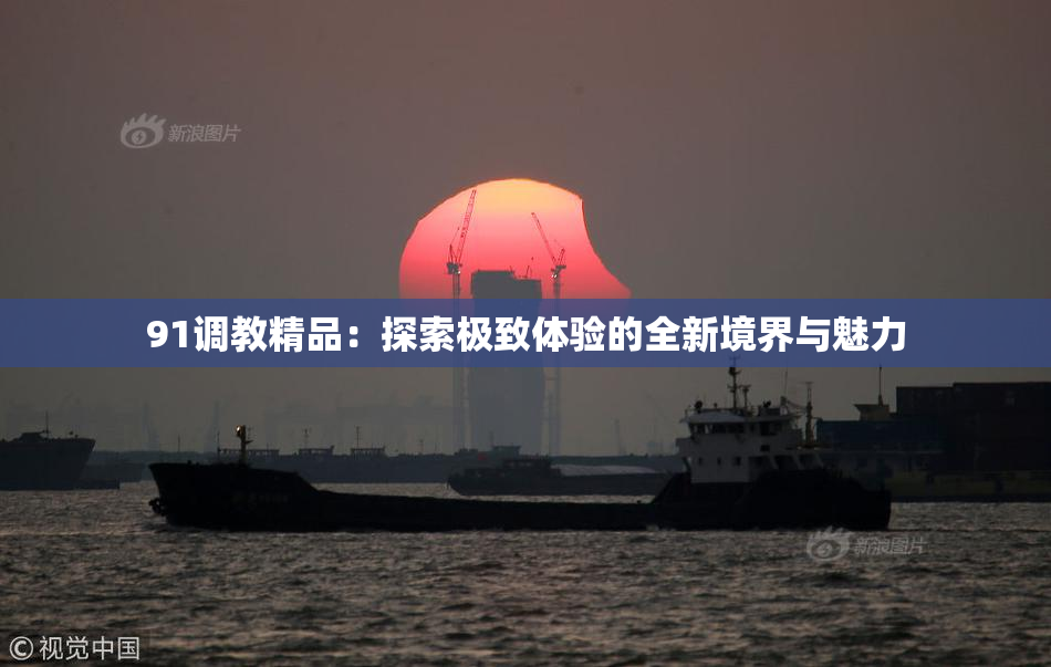 91调教精品：探索极致体验的全新境界与魅力