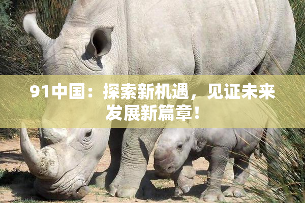 91中国：探索新机遇，见证未来发展新篇章！