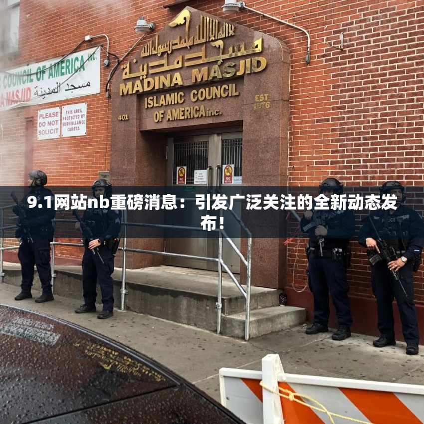 9.1网站nb重磅消息：引发广泛关注的全新动态发布！