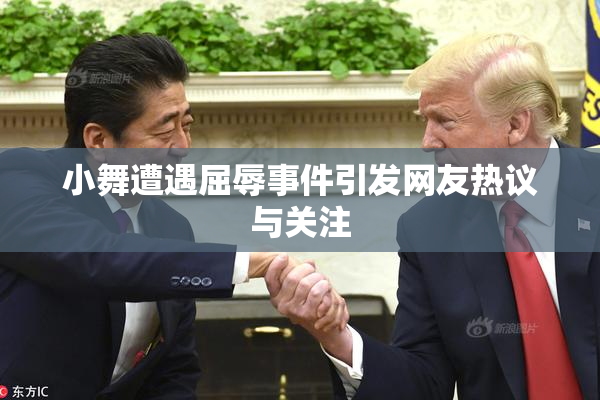 小舞遭遇屈辱事件引发网友热议与关注