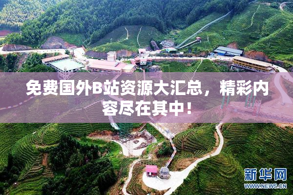 免费国外B站资源大汇总，精彩内容尽在其中！