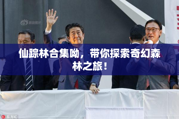 仙踪林合集呦，带你探索奇幻森林之旅！