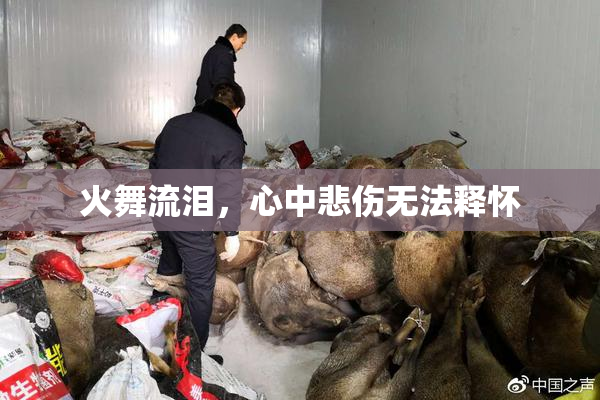 火舞流泪，心中悲伤无法释怀