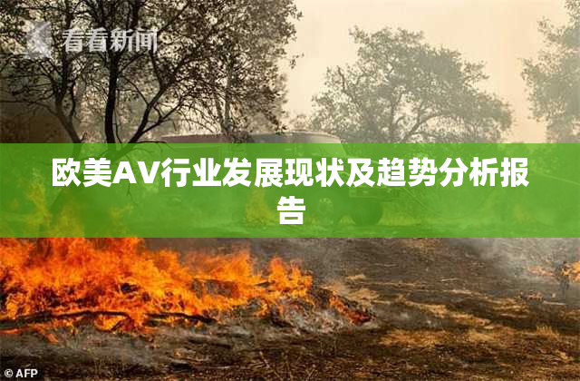 欧美AV行业发展现状及趋势分析报告