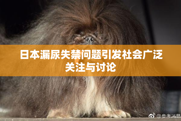 日本漏尿失禁问题引发社会广泛关注与讨论