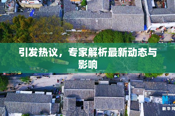 引发热议，专家解析最新动态与影响