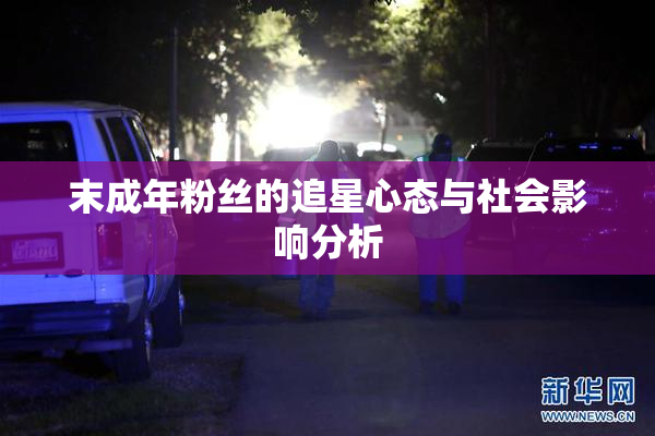 末成年粉丝的追星心态与社会影响分析