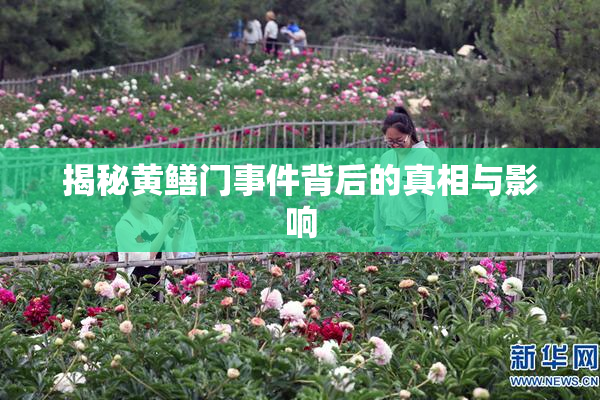 揭秘黄鳝门事件背后的真相与影响