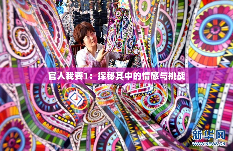官人我要1：探秘其中的情感与挑战