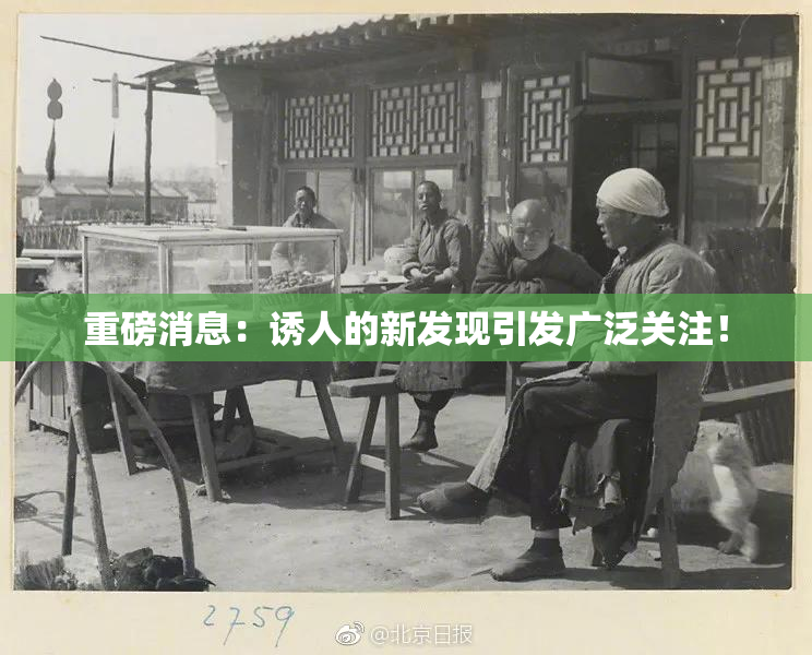 重磅消息：诱人的新发现引发广泛关注！