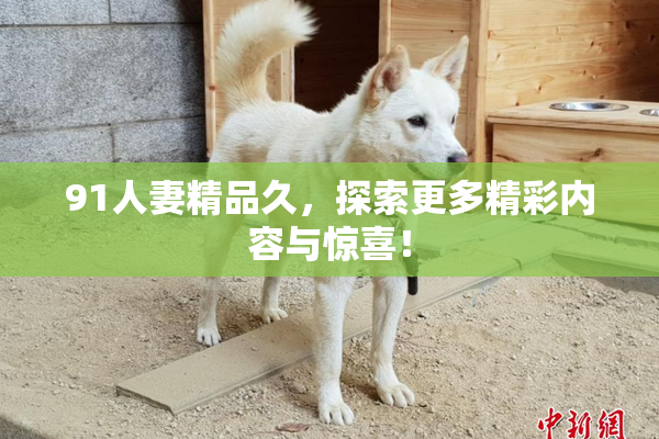 91人妻精品久，探索更多精彩内容与惊喜！