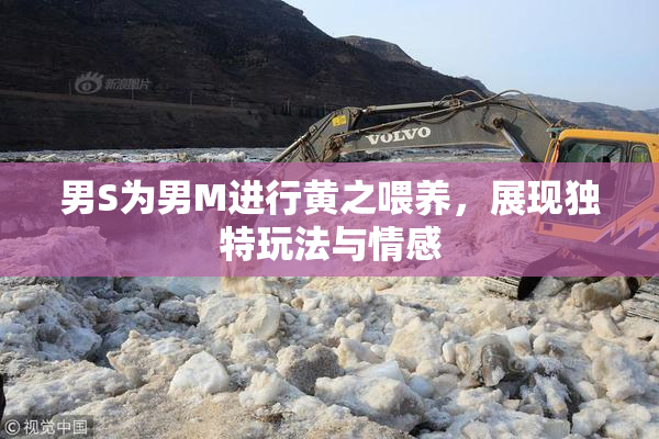男S为男M进行黄之喂养，展现独特玩法与情感