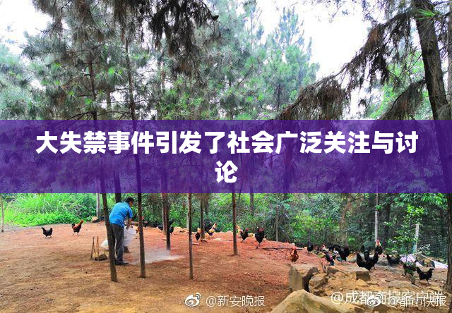 大失禁事件引发了社会广泛关注与讨论