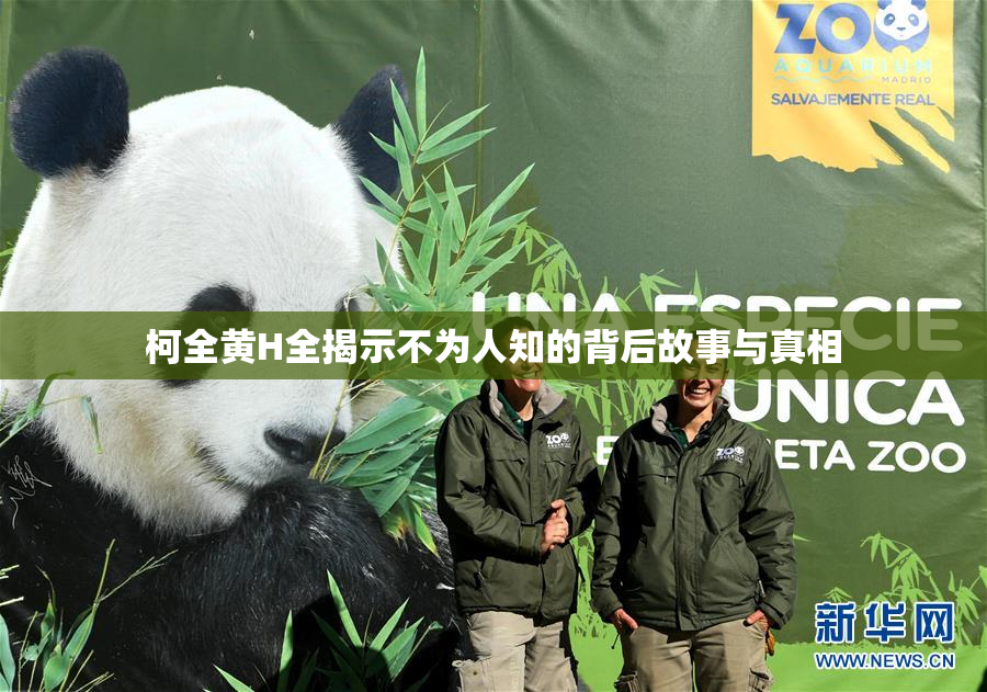 柯全黄H全揭示不为人知的背后故事与真相