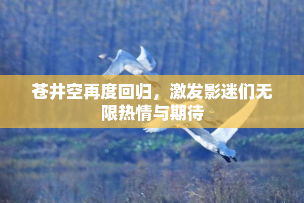 苍井空再度回归，激发影迷们无限热情与期待