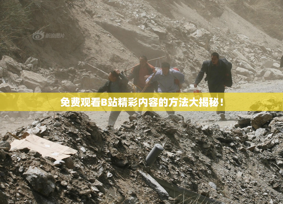 免费观看B站精彩内容的方法大揭秘！
