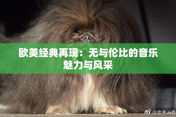 欧美经典再现：无与伦比的音乐魅力与风采