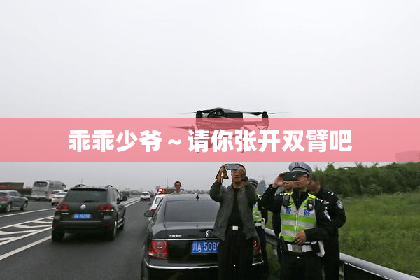 乖乖少爷～请你张开双臂吧