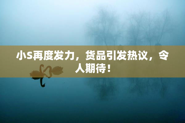 小S再度发力，货品引发热议，令人期待！