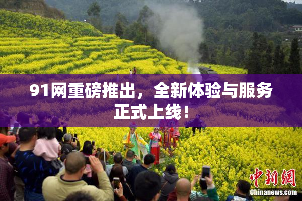 91网重磅推出，全新体验与服务正式上线！