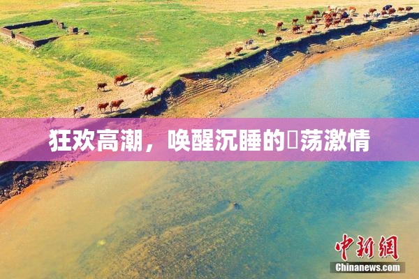 狂欢高潮，唤醒沉睡的婬荡激情