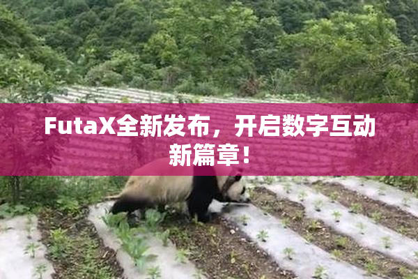 FutaX全新发布，开启数字互动新篇章！