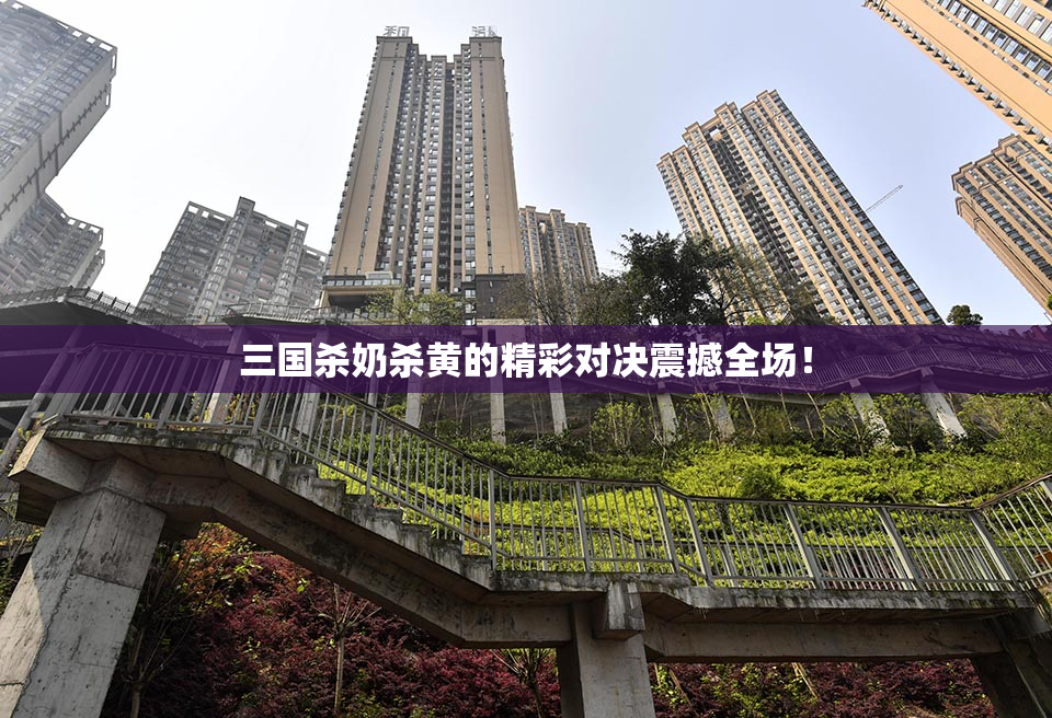 三国杀奶杀黄的精彩对决震撼全场！