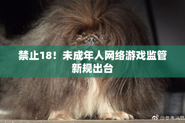 禁止18！未成年人网络游戏监管新规出台