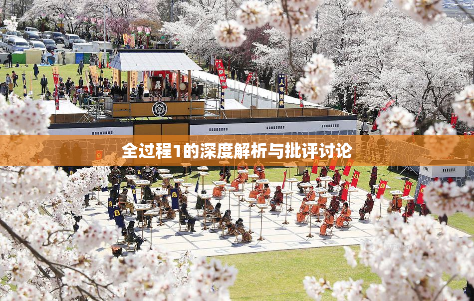 全过程1的深度解析与批评讨论