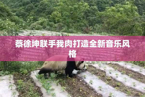 蔡徐坤联手我肉打造全新音乐风格