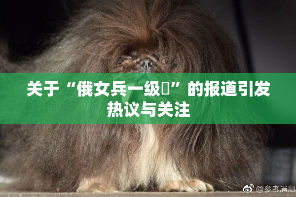 关于“俄女兵一级婬”的报道引发热议与关注