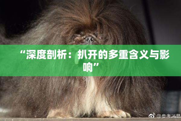 “深度剖析：扒开的多重含义与影响”